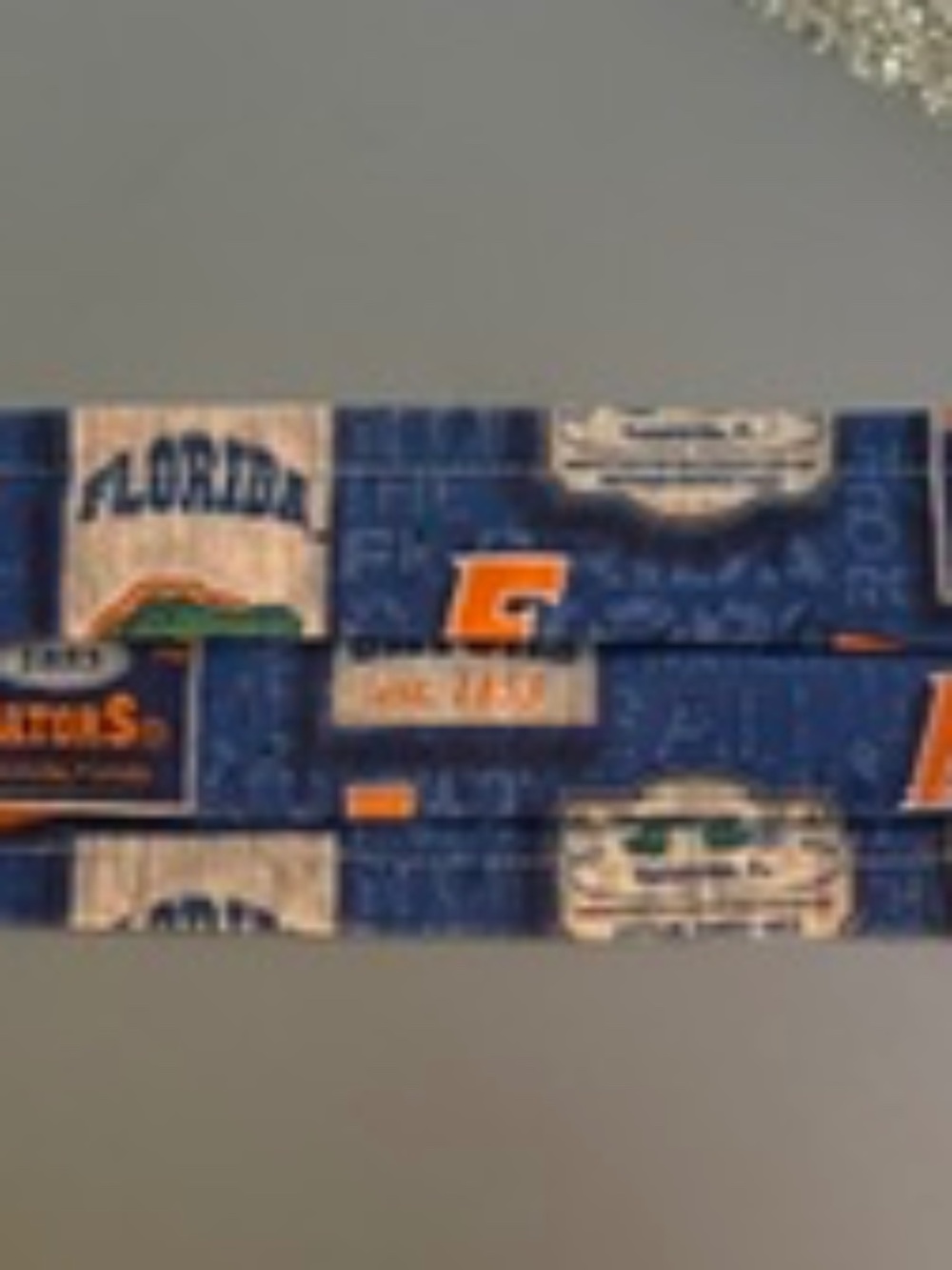 UF University of Florida protective cloth mask